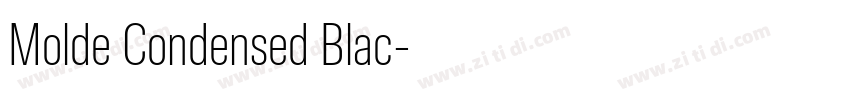 Molde Condensed Blac字体转换